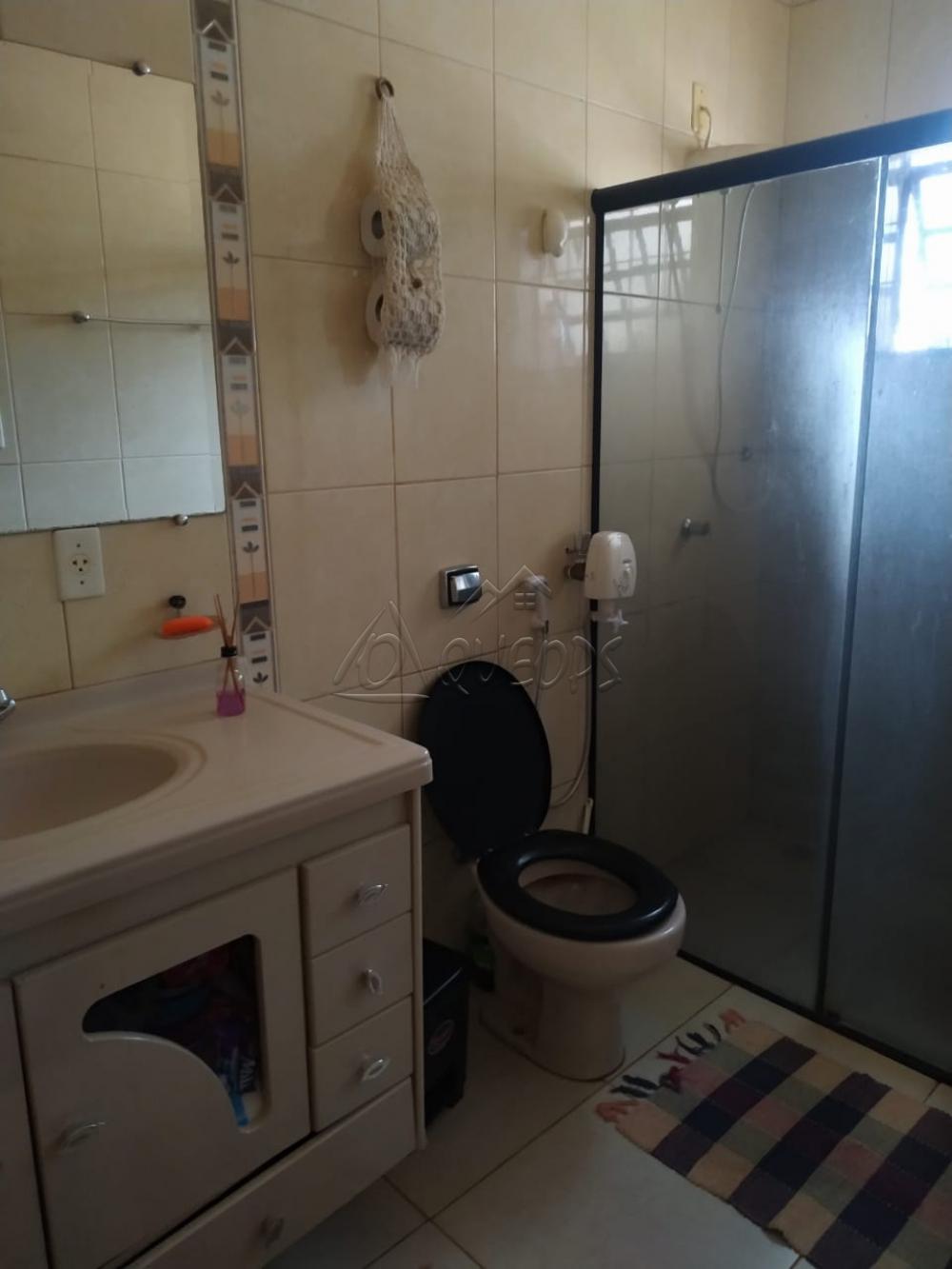 Comprar Casa / Padrão em Barretos apenas R$ 270.000,00 - Foto 15 Comprar Casa / Padrão em Barretos apenas R$ 270.000,00 - Foto 15
