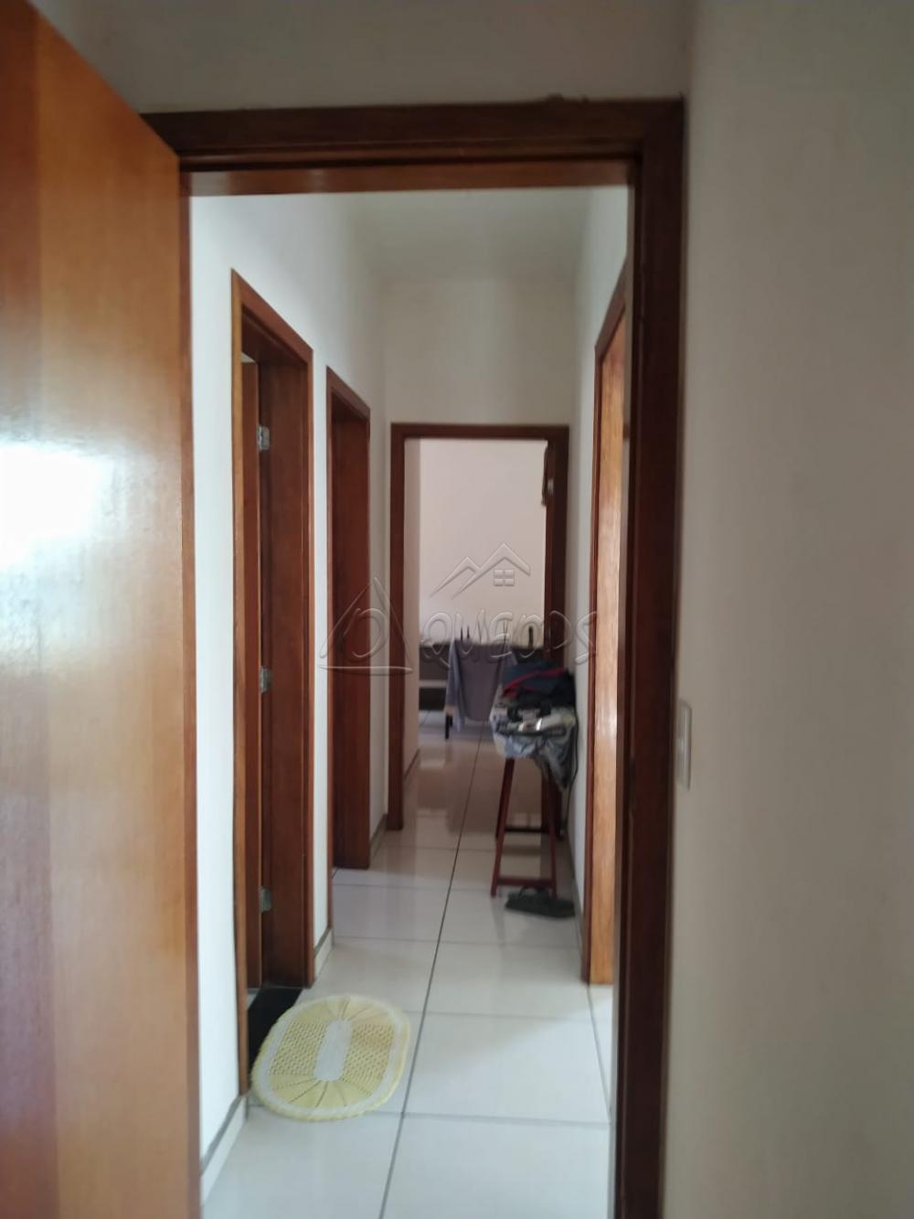 Comprar Casa / Padrão em Barretos apenas R$ 280.000,00 - Foto 11 Comprar Casa / Padrão em Barretos apenas R$ 280.000,00 - Foto 11
