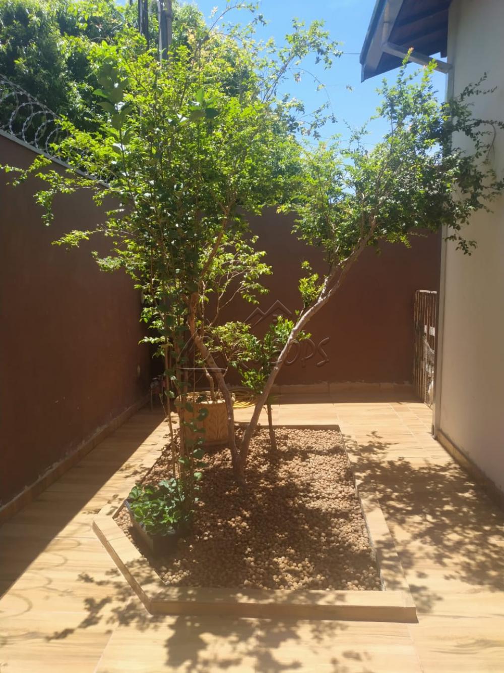 Comprar Casa / Padrão em Barretos apenas R$ 320.000,00 - Foto 20 Comprar Casa / Padrão em Barretos apenas R$ 320.000,00 - Foto 20