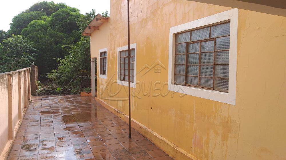 Alugar Casa / Padrão em Barretos apenas R$ 1.000,00 - Foto 2 Alugar Casa / Padrão em Barretos apenas R$ 1.000,00 - Foto 2