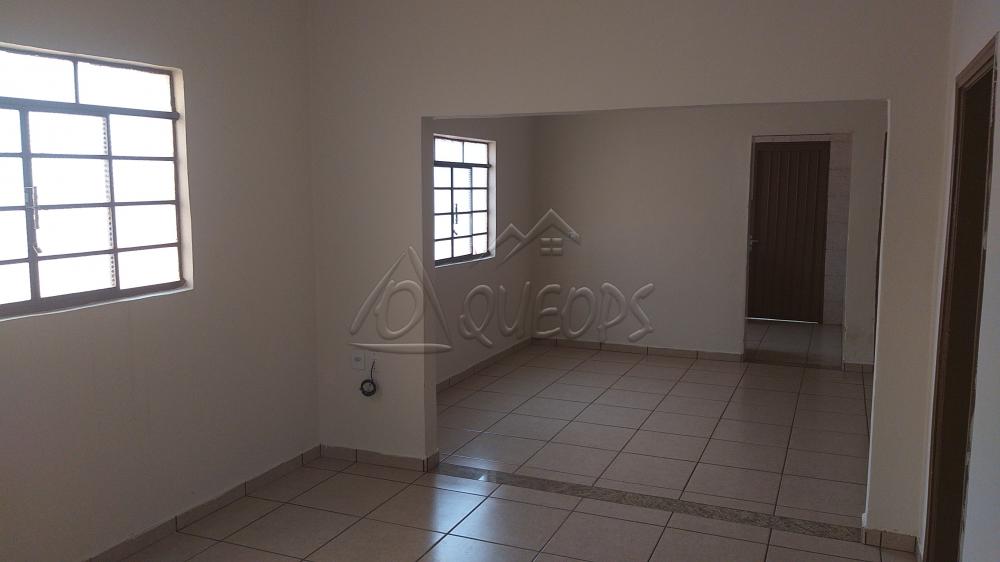 Alugar Casa / Padrão em Barretos apenas R$ 1.000,00 - Foto 4 Alugar Casa / Padrão em Barretos apenas R$ 1.000,00 - Foto 4