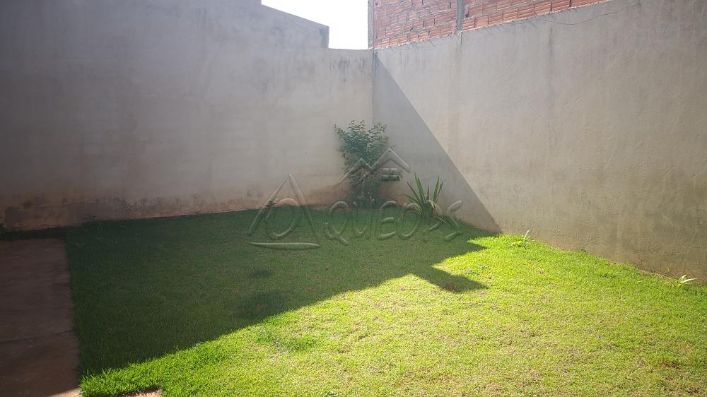 Alugar Casa / Padrão em Barretos apenas R$ 1.000,00 - Foto 14 Alugar Casa / Padrão em Barretos apenas R$ 1.000,00 - Foto 14