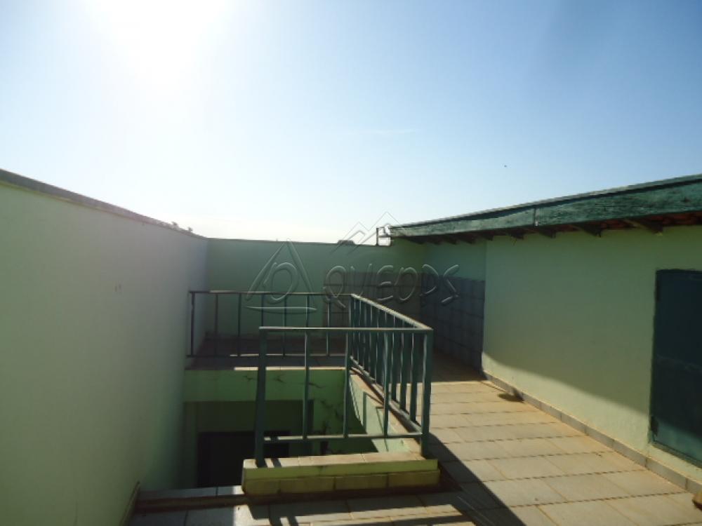 Alugar Casa / Sobrado em Barretos apenas R$ 1.100,00 - Foto 12 Alugar Casa / Sobrado em Barretos apenas R$ 1.100,00 - Foto 12