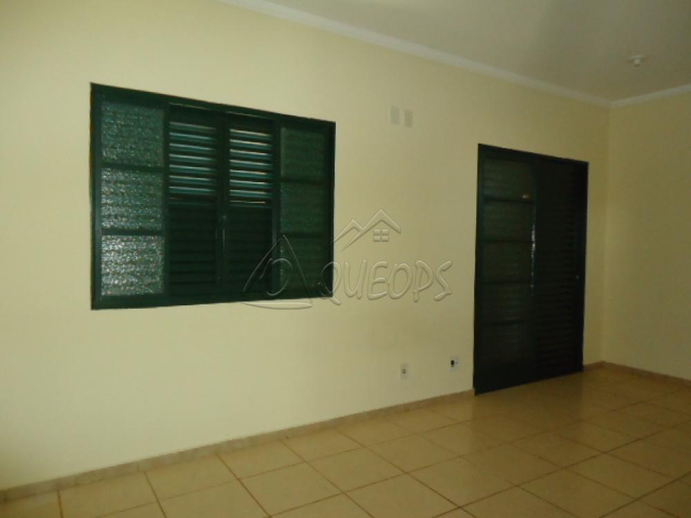 Alugar Casa / Sobrado em Barretos apenas R$ 1.100,00 - Foto 9 Alugar Casa / Sobrado em Barretos apenas R$ 1.100,00 - Foto 9