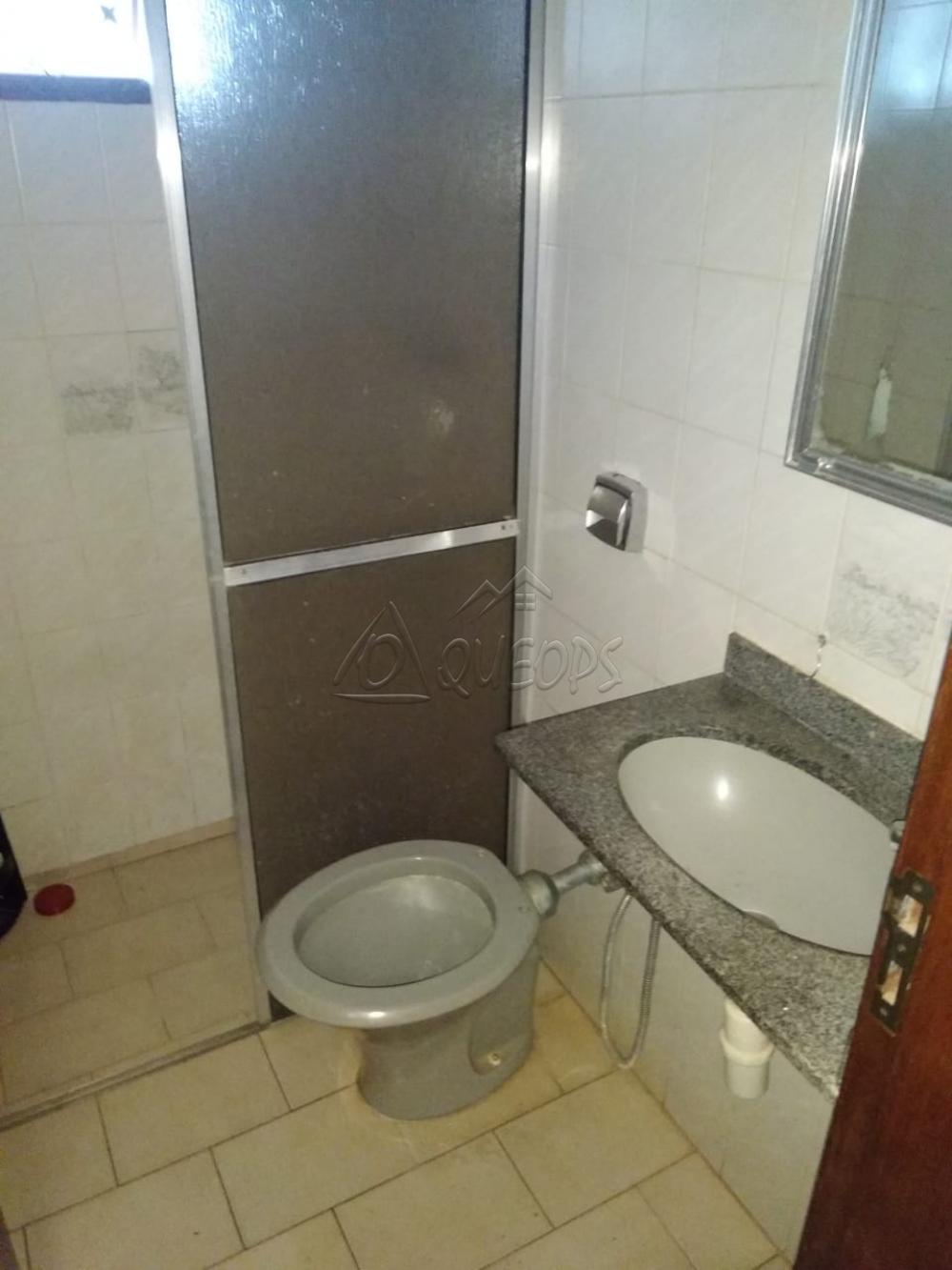 Alugar Casa / Padrão em Barretos apenas R$ 1.000,00 - Foto 10 Alugar Casa / Padrão em Barretos apenas R$ 1.000,00 - Foto 10