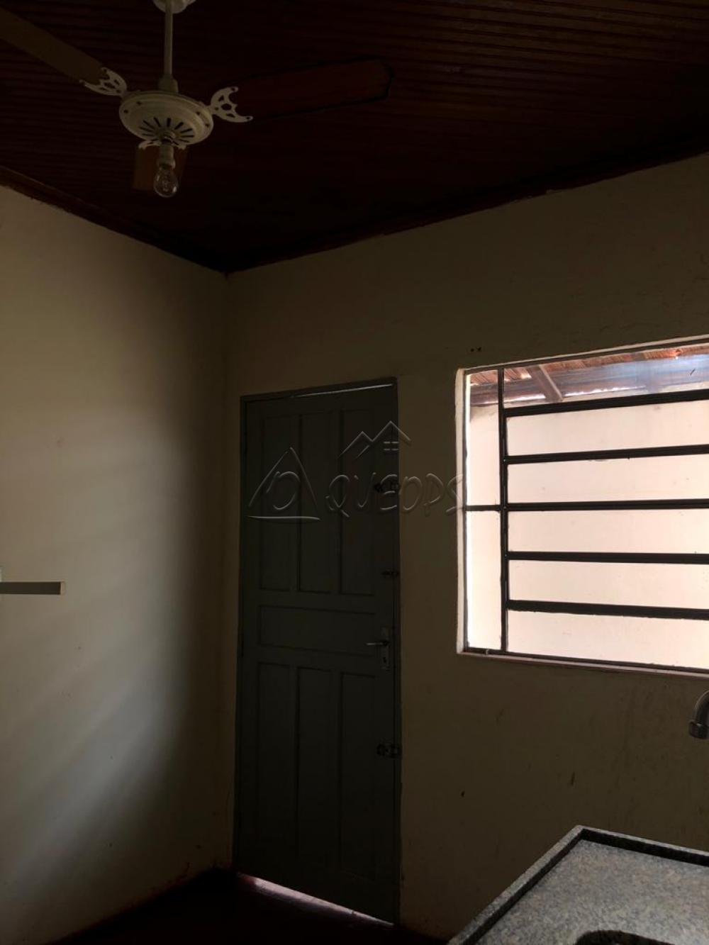 Comprar Casa / Padrão em Barretos apenas R$ 130.000,00 - Foto 15 Comprar Casa / Padrão em Barretos apenas R$ 130.000,00 - Foto 15