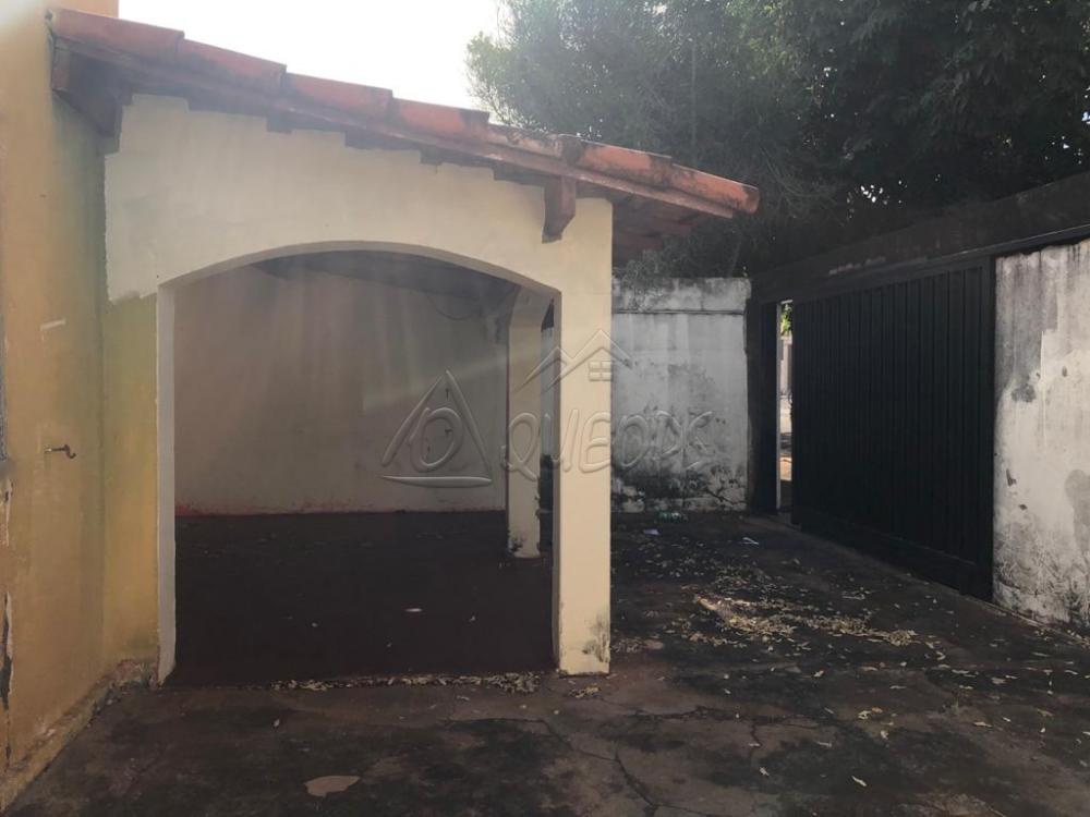 Comprar Casa / Padrão em Barretos apenas R$ 130.000,00 - Foto 19 Comprar Casa / Padrão em Barretos apenas R$ 130.000,00 - Foto 19