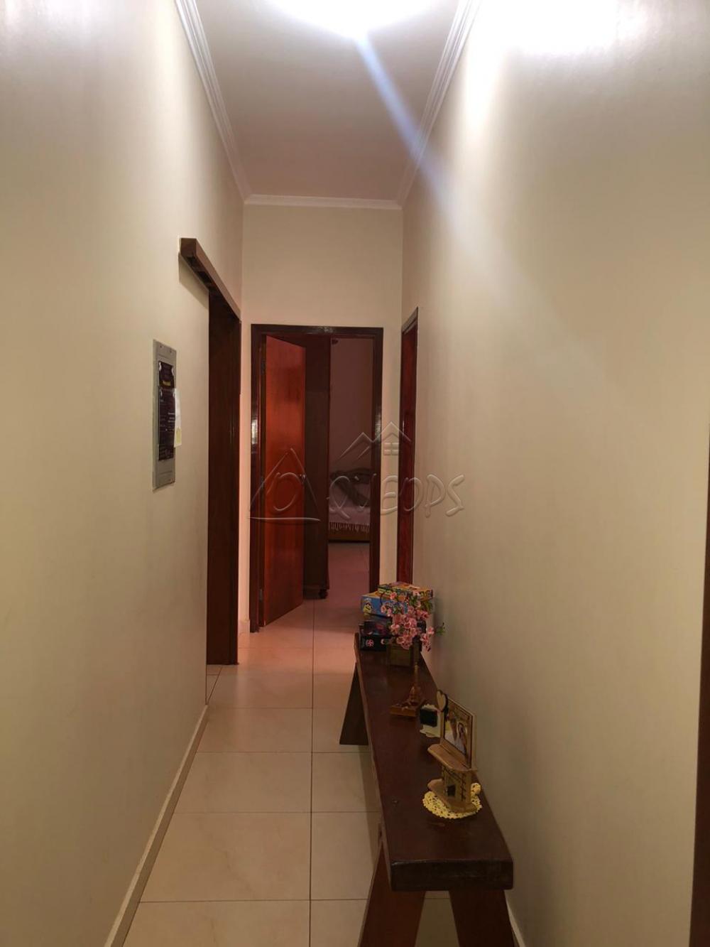 Comprar Casa / Padrão em Barretos apenas R$ 750.000,00 - Foto 7 Comprar Casa / Padrão em Barretos apenas R$ 750.000,00 - Foto 7