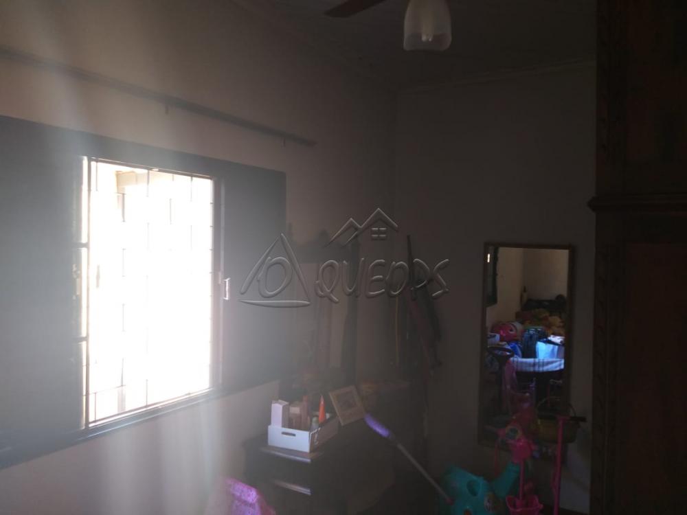 Comprar Casa / Padrão em Barretos apenas R$ 330.000,00 - Foto 4 Comprar Casa / Padrão em Barretos apenas R$ 330.000,00 - Foto 4
