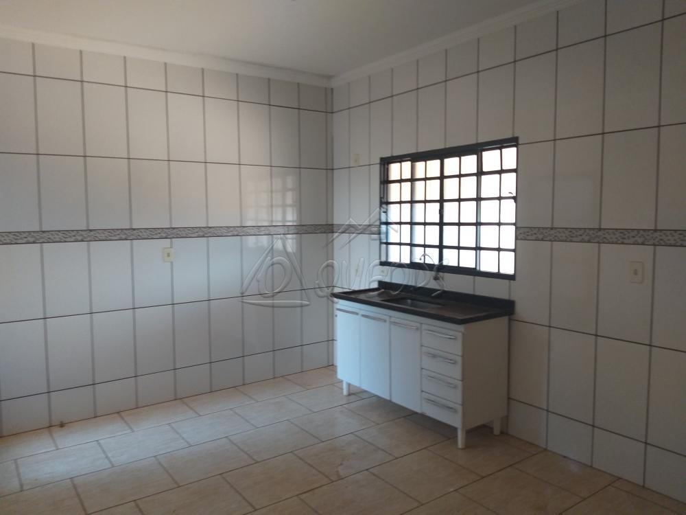 Alugar Casa / Padrão em Barretos apenas R$ 1.700,00 - Foto 11 Alugar Casa / Padrão em Barretos apenas R$ 1.700,00 - Foto 11