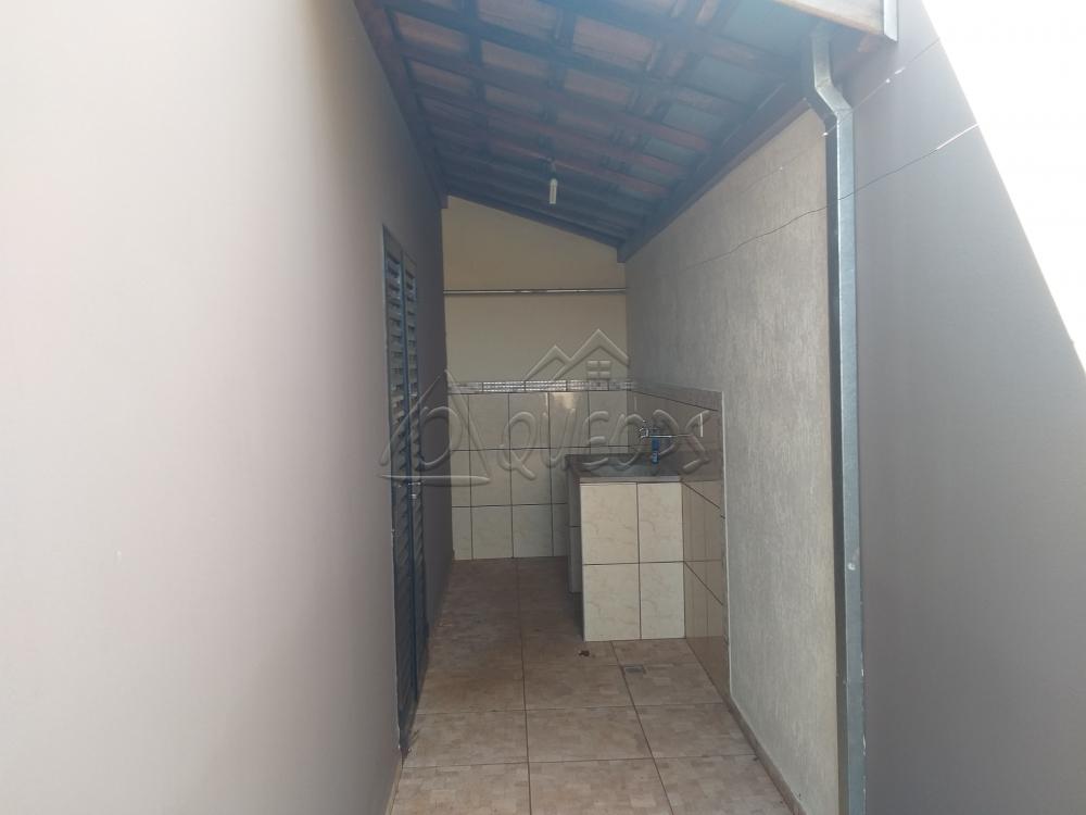 Alugar Casa / Padrão em Barretos apenas R$ 1.700,00 - Foto 12 Alugar Casa / Padrão em Barretos apenas R$ 1.700,00 - Foto 12