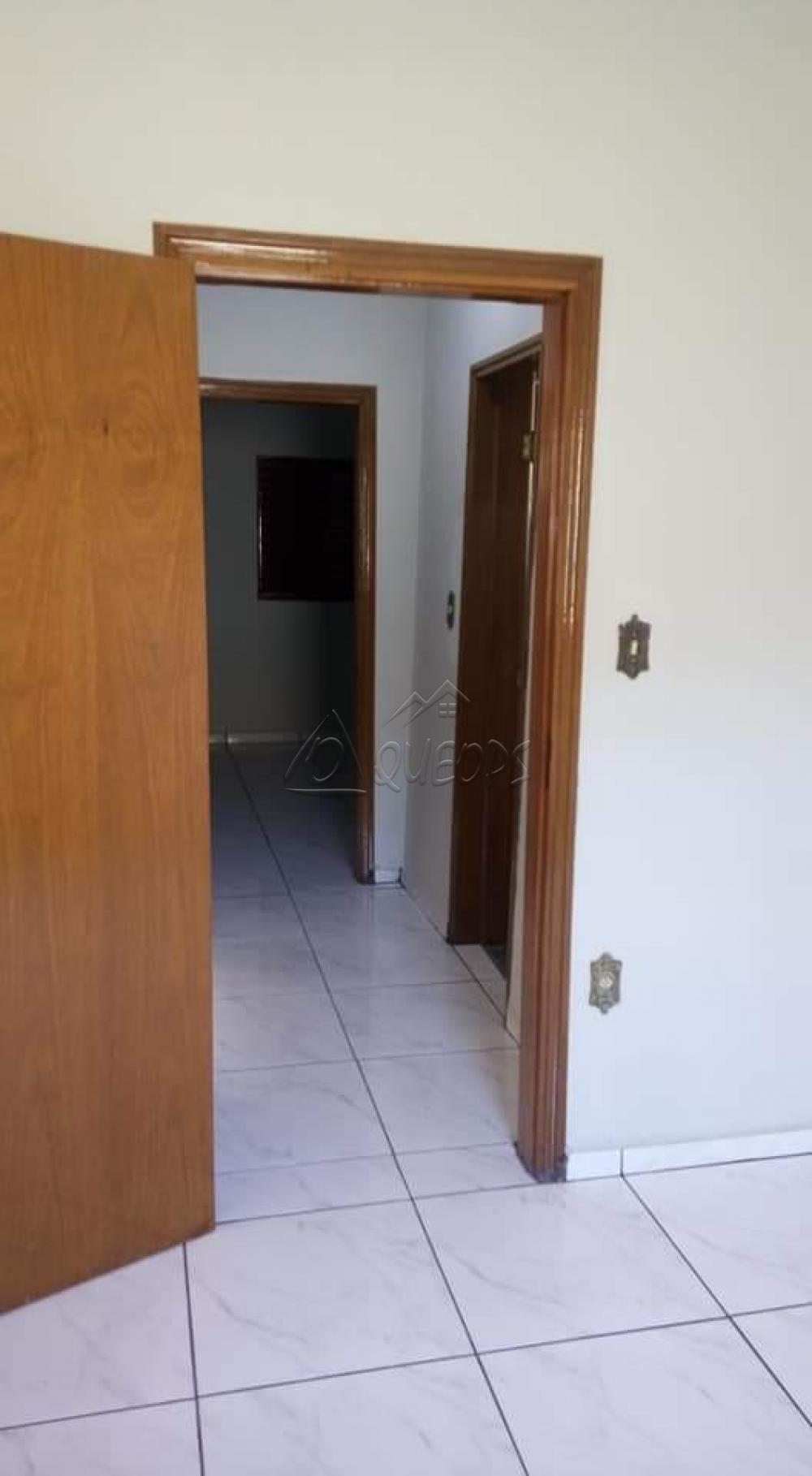 Comprar Casa / Padrão em Barretos apenas R$ 320.000,00 - Foto 7 Comprar Casa / Padrão em Barretos apenas R$ 320.000,00 - Foto 7