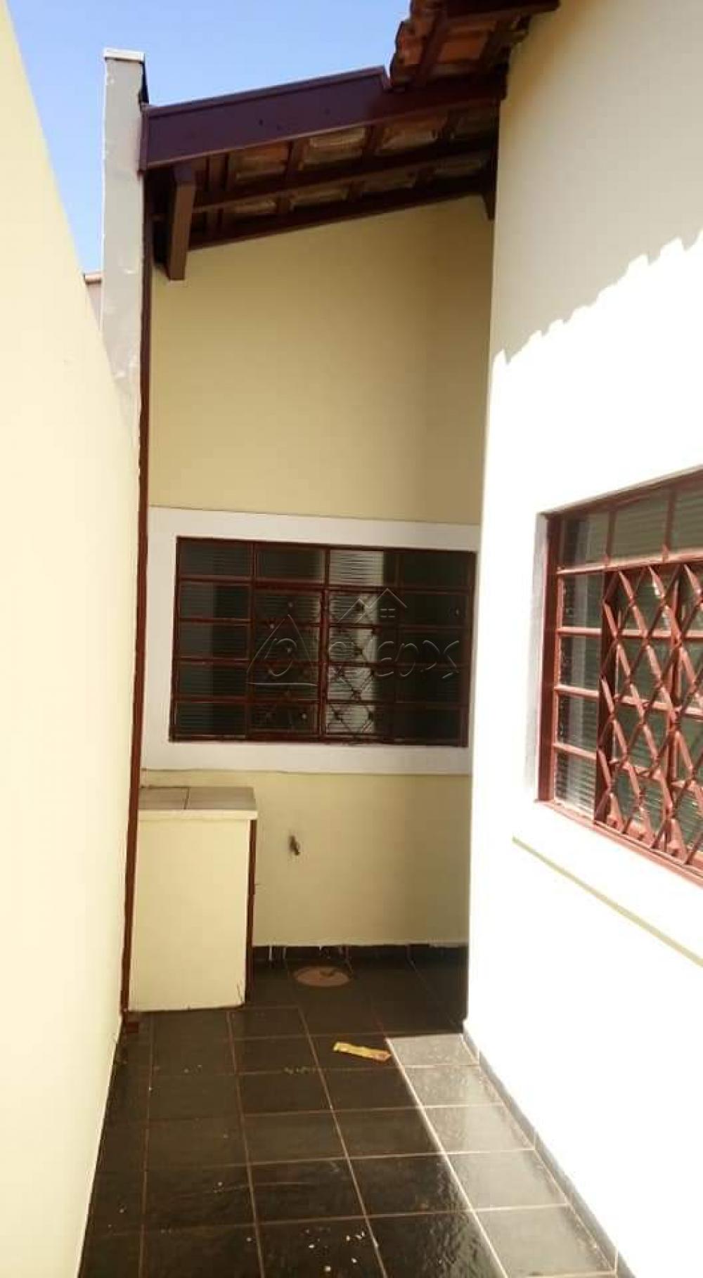 Comprar Casa / Padrão em Barretos apenas R$ 320.000,00 - Foto 11 Comprar Casa / Padrão em Barretos apenas R$ 320.000,00 - Foto 11