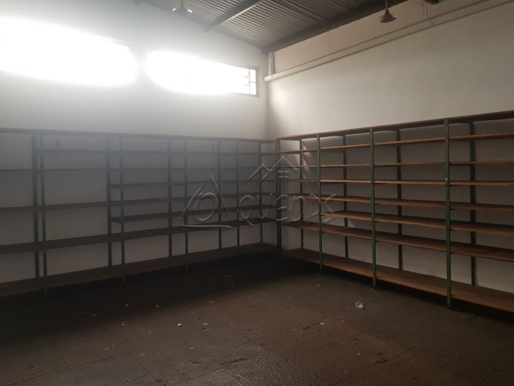 Alugar Comercial / Barracão em Barretos R$ 3.850,00 - Foto 5 Alugar Comercial / Barracão em Barretos R$ 3.850,00 - Foto 5