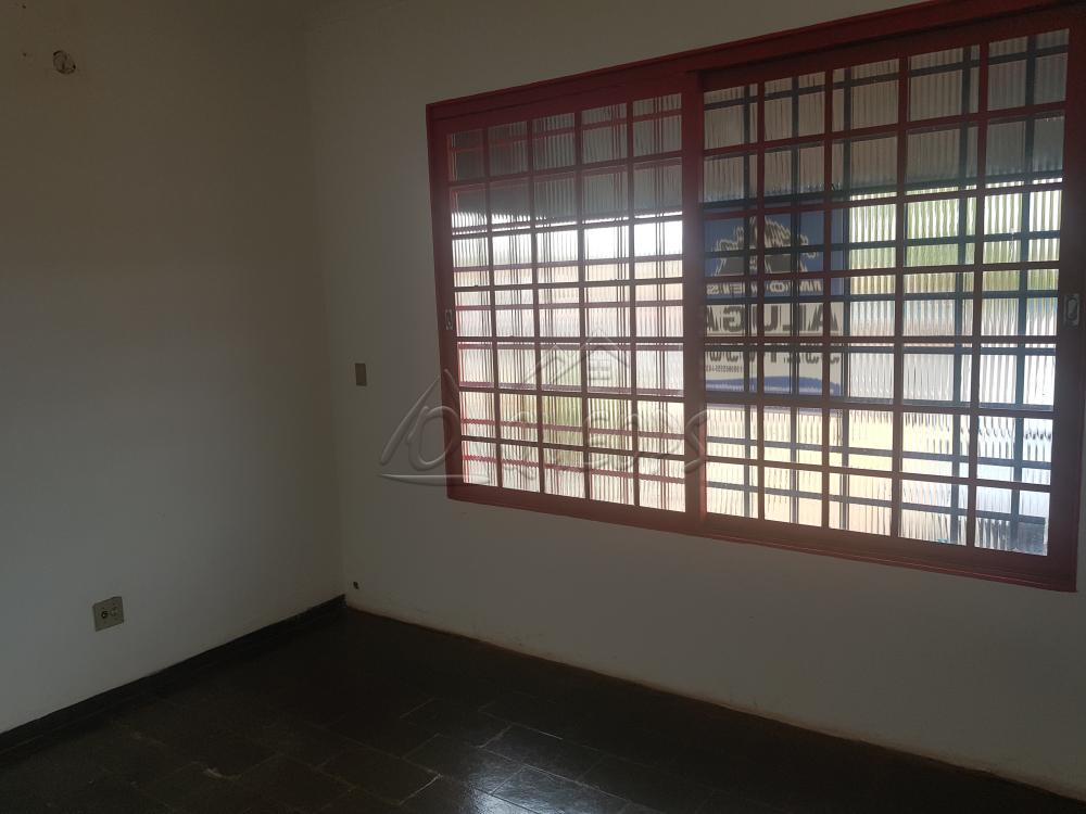 Alugar Comercial / Barracão em Barretos R$ 3.850,00 - Foto 10 Alugar Comercial / Barracão em Barretos R$ 3.850,00 - Foto 10