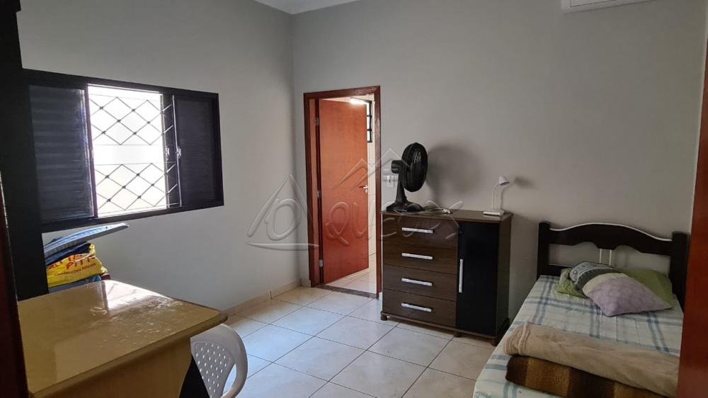 Comprar Casa / Padrão em Barretos R$ 410.000,00 - Foto 9 Comprar Casa / Padrão em Barretos R$ 410.000,00 - Foto 9