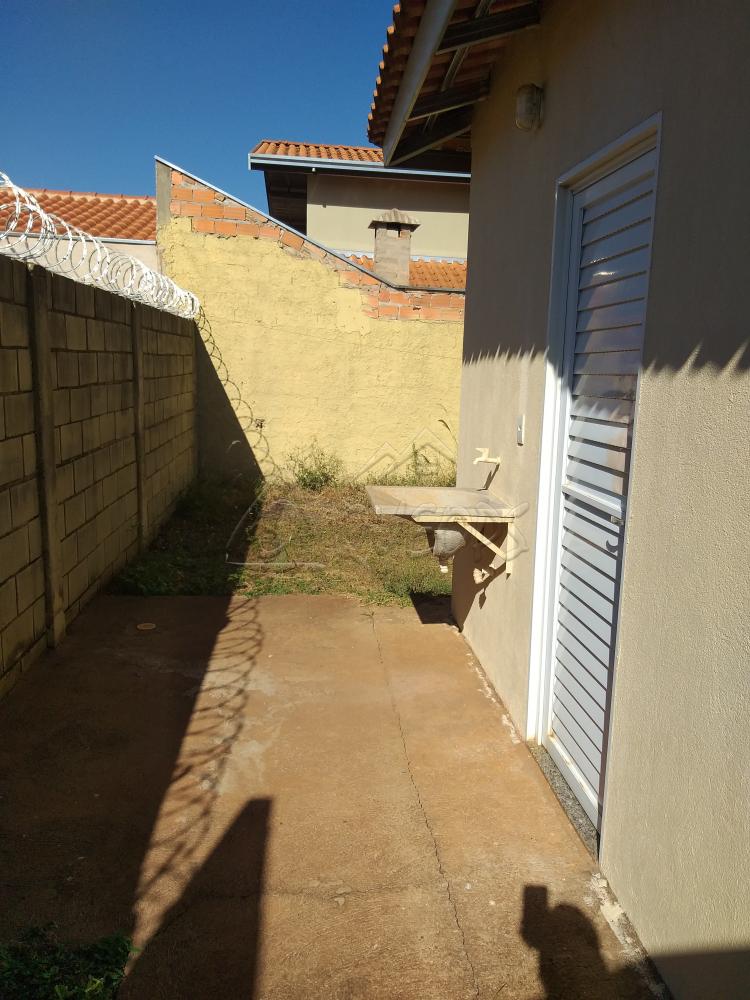 Alugar Casa / Padrão em Barretos apenas R$ 700,00 - Foto 10 Alugar Casa / Padrão em Barretos apenas R$ 700,00 - Foto 10