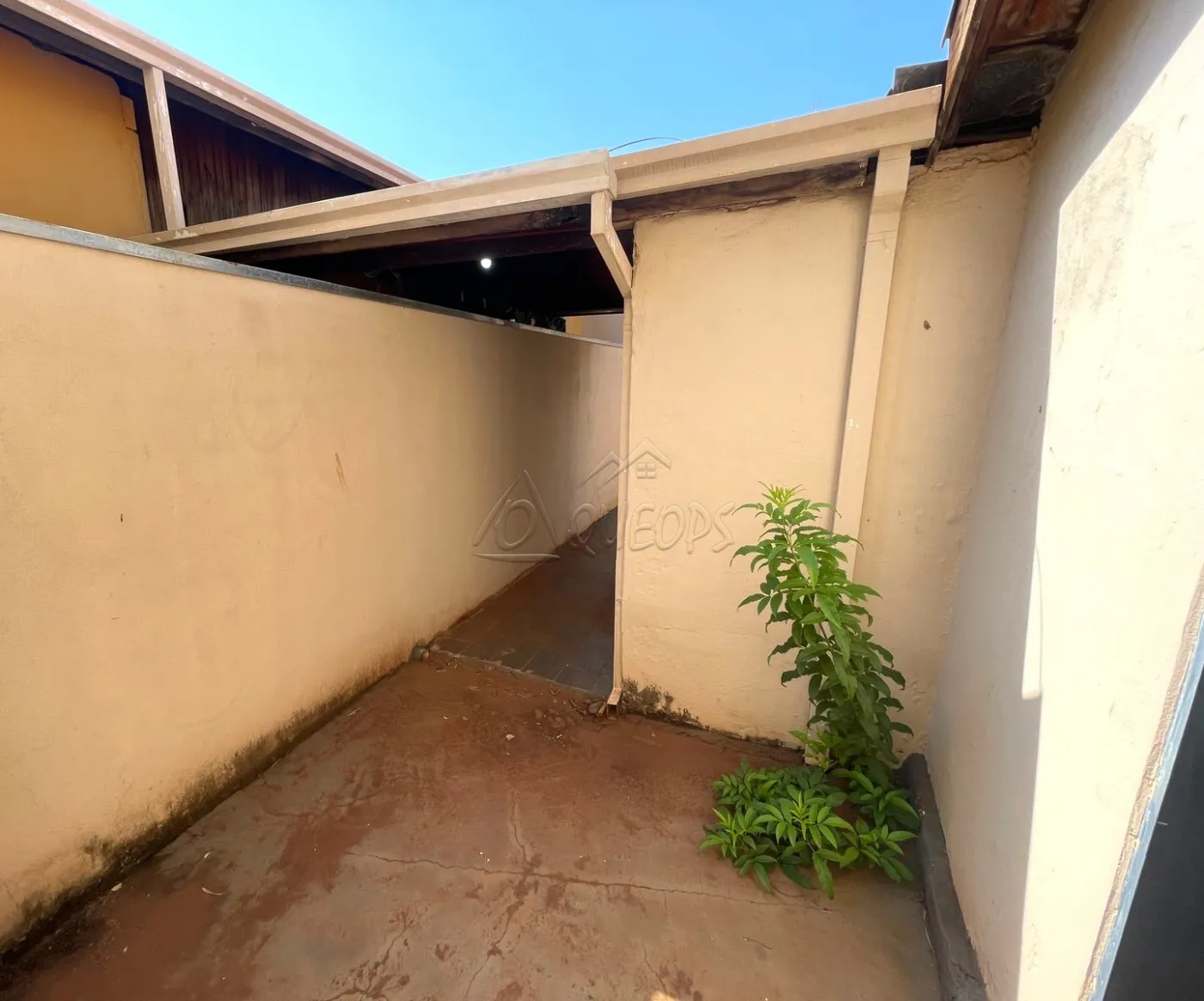 Comprar Casa / Padrão em Barretos R$ 350.000,00 - Foto 29