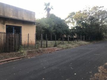 imagem 2 - Urbano - Chácara imagem 2 - Urbano - Chácara