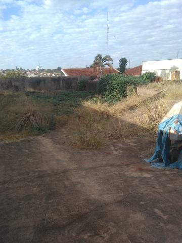 imagem 2 - Terreno - Padrão imagem 2 - Terreno - Padrão