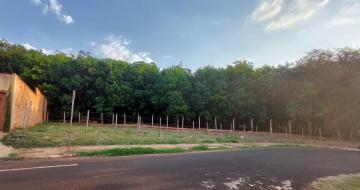 Alugar Terreno / Padrão em Barretos. apenas R$ 80.000,00