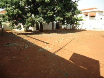 Alugar Casa / Padrão em Barretos R$ 5.000,00 - Foto 11 Alugar Casa / Padrão em Barretos R$ 5.000,00 - Foto 11