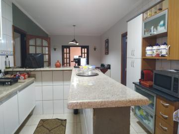 Alugar Casa / Padrão em Barretos R$ 3.500,00 - Foto 11 Alugar Casa / Padrão em Barretos R$ 3.500,00 - Foto 11