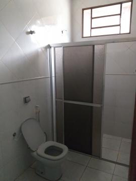 Alugar Casa / Padrão em Barretos R$ 3.000,00 - Foto 13 Alugar Casa / Padrão em Barretos R$ 3.000,00 - Foto 13