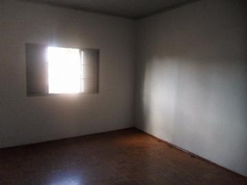 imagem 5 - Casa - Padrão imagem 5 - Casa - Padrão