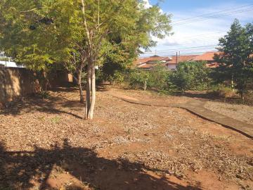 imagem 2 - Terreno - Padrão imagem 2 - Terreno - Padrão