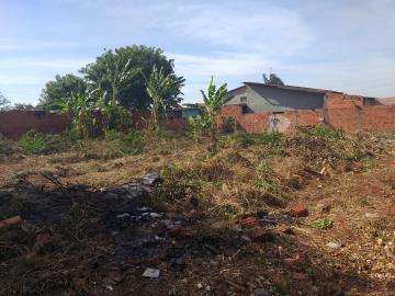 imagem 5 - Terreno - Padrão imagem 5 - Terreno - Padrão