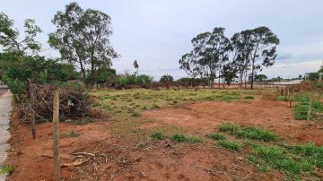 imagem 3 - TERRENO imagem 3 - TERRENO
