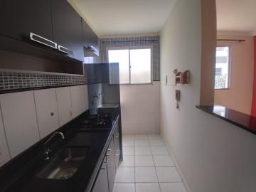 Alugar Apartamento / Padrão em Barretos R$ 950,00 - Foto 3 Alugar Apartamento / Padrão em Barretos R$ 950,00 - Foto 3