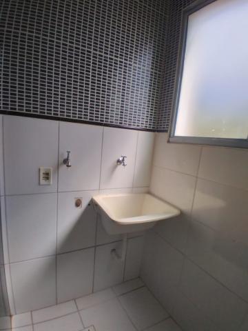 Alugar Apartamento / Padrão em Barretos R$ 950,00 - Foto 11 Alugar Apartamento / Padrão em Barretos R$ 950,00 - Foto 11
