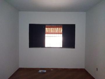 Alugar Casa / Padrão em Barretos R$ 1.100,00 - Foto 5 Alugar Casa / Padrão em Barretos R$ 1.100,00 - Foto 5