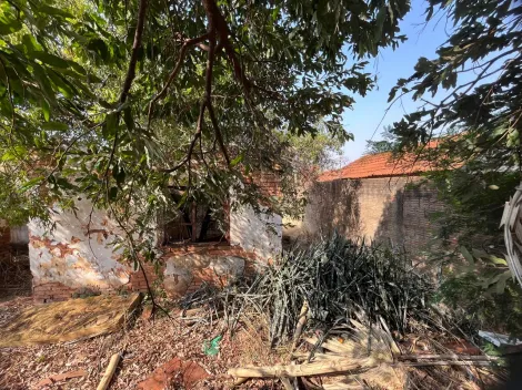 imagem 3 - TERRENO imagem 3 - TERRENO