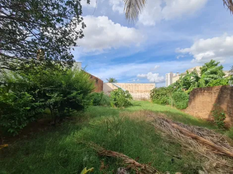 imagem 3 - RESIDENCIAL / COMERCIAL imagem 3 - RESIDENCIAL / COMERCIAL