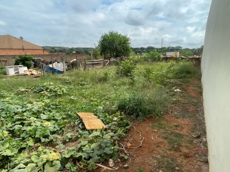 imagem 3 - TERRENO imagem 3 - TERRENO