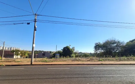 imagem 4 - TERRENO imagem 4 - TERRENO
