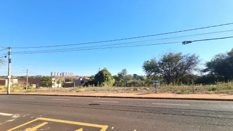 imagem 1 - TERRENO imagem 1 - TERRENO