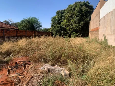 imagem 2 - TERRENO imagem 2 - TERRENO