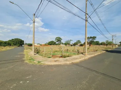 imagem 4 - TERRENO imagem 4 - TERRENO
